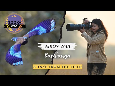 Nikon Z6III in Kaziranga, India | Field Test | Wildlife Photography & Videography