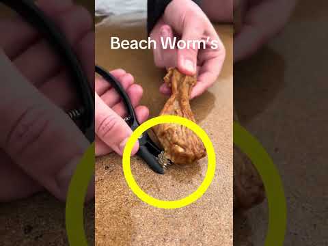 This Guy Was Eating Chicken On The Beach when… 😱