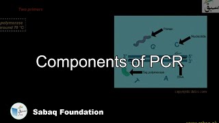 Components of PCR