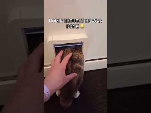 No๐ญ๐ญ๐ญ