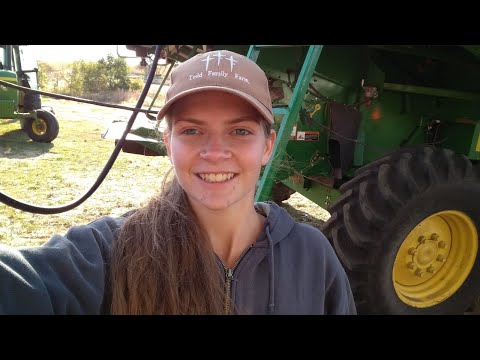 Harvesting Along! | Fall Farmathon Episode 10