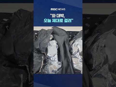 '보랏빛' 보자 난리난 세관 #Shorts (MBC뉴스)
