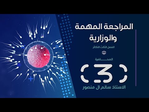 المراجعة ( الفصل الثالث ) | المحاضرة الـ3.