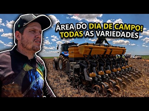 6 VARIEDADES DE SOJA DIFERENTES NO DIA DE CAMPO DESSE ANO