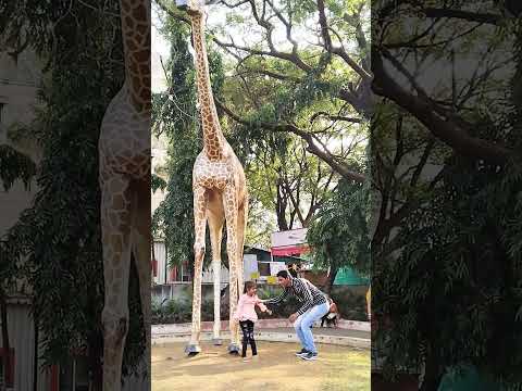 Daddy mujhe giraffe🦒 pe baithna hai 😱🤣👍😍#shorts