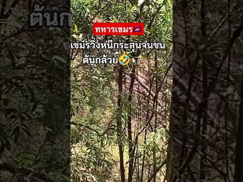 29 พฤษภาคม 2568