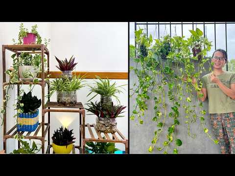 Turn discarded objects into beautiful indoor plant pots, ideas for recycled gardens
