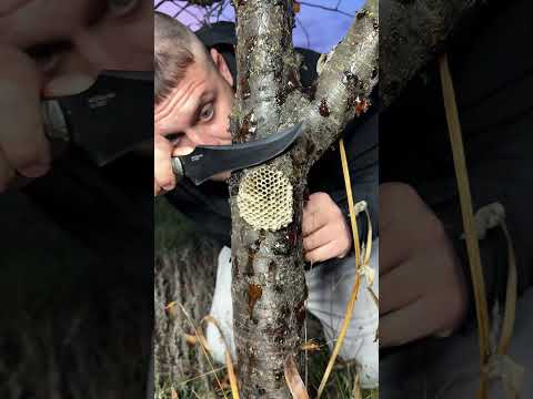 My Backyard Anti-Mosquito Machine… Made From Trash!”😳