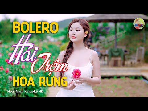 Hái Trộm Hoa Rừng, về trao một người ngày xưa anh đã hứa, Bolero Mới Nhất Nghe Cực Thấm