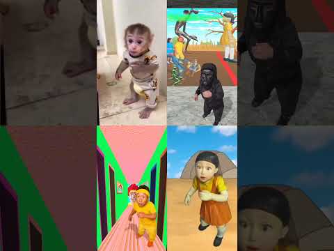 Baby Monkey, Rumi KPop Dh, Squid Game Surprised🥳🤩🤣