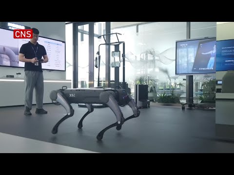 Guangdong's intelligent robots cluster revenues exceed $12.5 billion in 2024