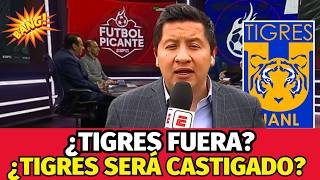¿CASTIGO AL VOLCÁN? LA VERDAD TRAS LA SANCIÓN A TIGRES