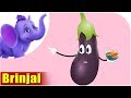 Eggplant Knowledge Assessment
