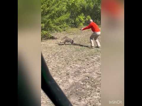 Hog Opens Trap Door & Charges...Taken Down with Glock (Slo-Mo)