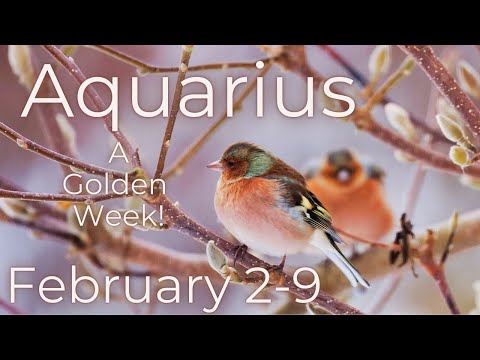 Aquarius, Seeds of Greatness Falling In Your Lap // February 2-9 2025 Weekly Tarot