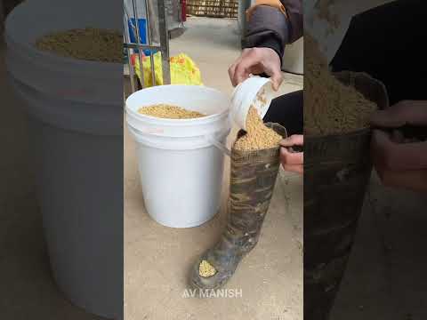 Papa fed the chicken🤯🐔~mini wood toy- woodworking art skill/wood hand #shorts#facts