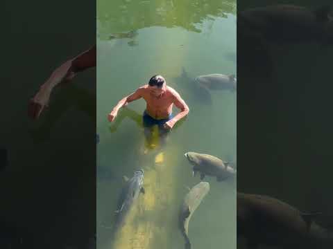 Swimming with the monsters