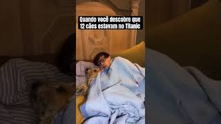 Quando você descobre que 12 cães estavam no Titanic 🐶 @TheJessiiShow @TheManniiShow-BR