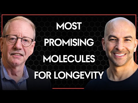 Most promising molecules for longevity | Peter Attia and Steve Austad