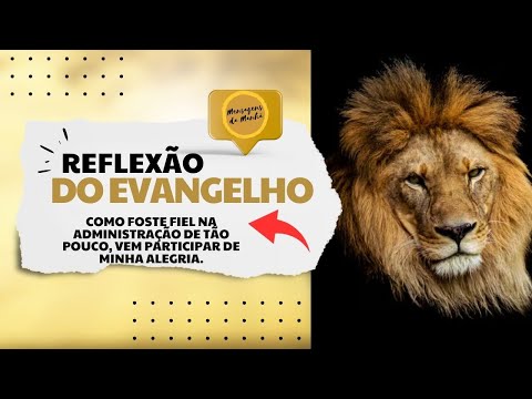 Reflexão do Evangelho - Como foste fiel na administração de tão pouco