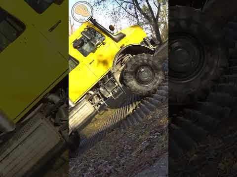 80% Steigung mit Unimog!! #shorts #unimog