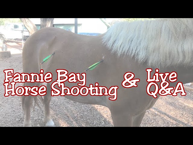 NU Archery Live Q&A | Fannie Bay Incident