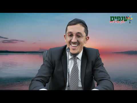 השתדלות - עד לאן? | הרב יהונתן פרטוש בשיעור סוחף