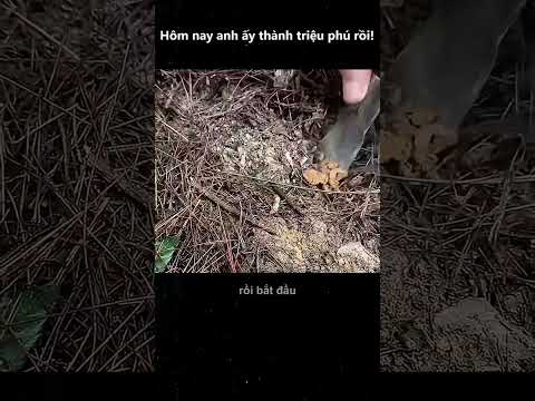 Hôm nay anh ấy thành triệu phú rồi!