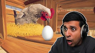 البيضة