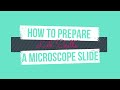 Preparing Microscope Slides: Onion and Cheek Cell Techniques