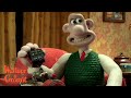Exploring Wallace's Remote Control Mishap