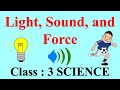 Understanding Sound, Force, and Light