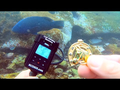 UNIQUE GOLD Finds while UNDERWATER Metal Detecting
