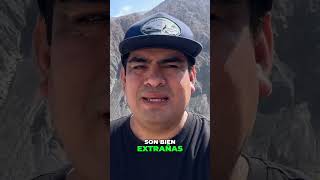 Petroglifos: ¿Mensajes de extraterrestres o arte antiguo? #shorts