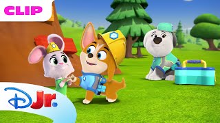 Ollie's Treehouse 🌳 | Pupstruction 🦺 | Disney Jr. MENA