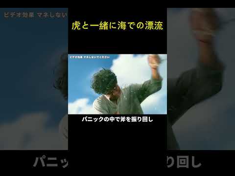 虎と一緒に海での漂流