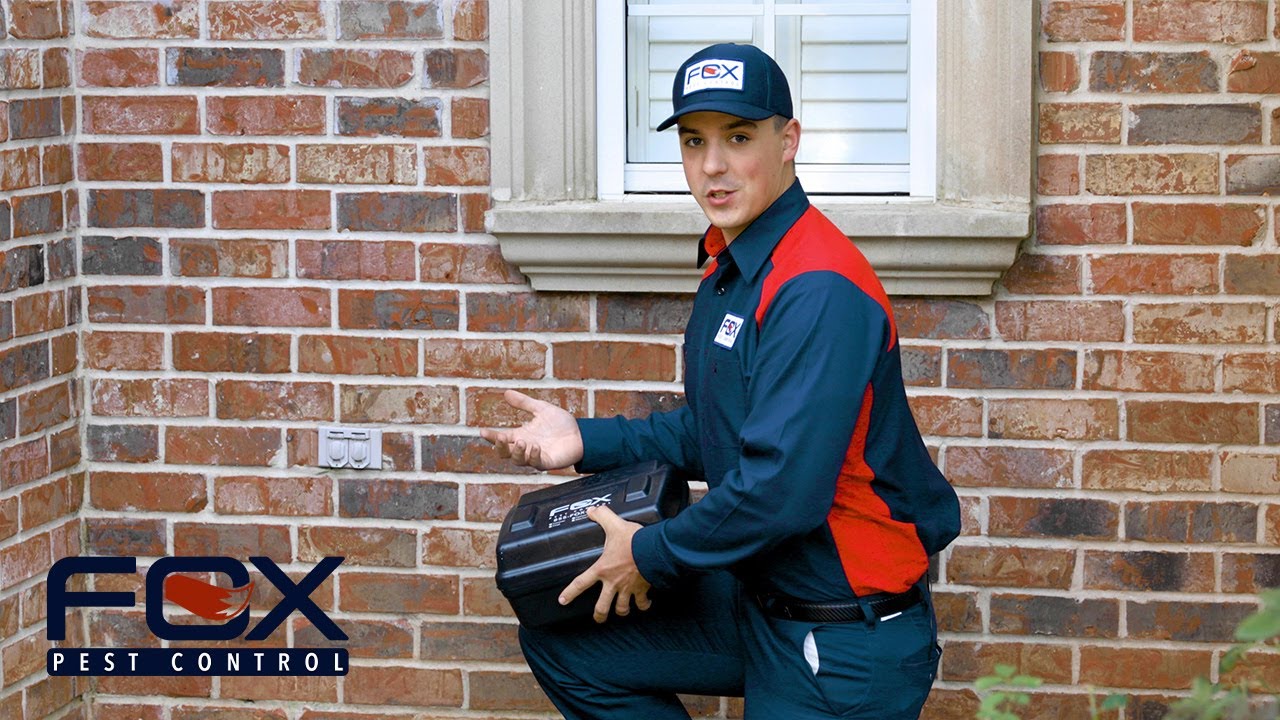 Why you should choose Fox Pest Control in McAllen