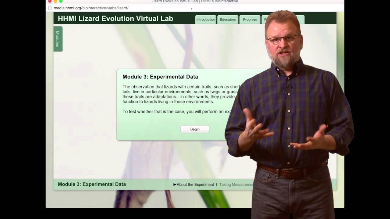 Virtual Lab Lizard Evolution Virtual Lab: Exploring the Fascinating World of Digital Biology