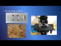 Pollen Analysis and Ecological Insights