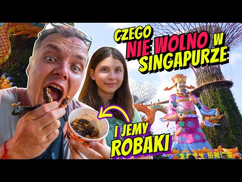 CZEGO NIE WOLNO W SINGAPURZE - JEMY ROBAKI -VLOG