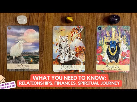 What You Need To Know Right Now: Relationships, Finances, Guidance | Timeless Reading