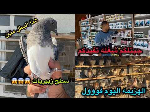 سطح زبيريات😱الهزيمه واحد ع واحد❤️طشار تور😭جبتلكم شي يفيدكم 😍😍😍