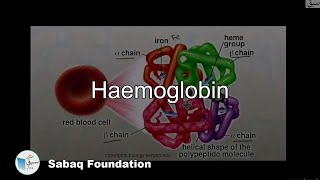 Haemoglobin