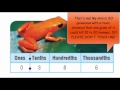 Rounding Numbers and Mathematical Practices