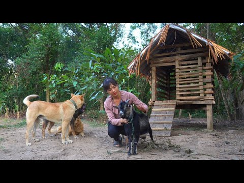 Returning to the Village, My Parents Gave Me a Goat. Building a Goat Pen on the Mountain