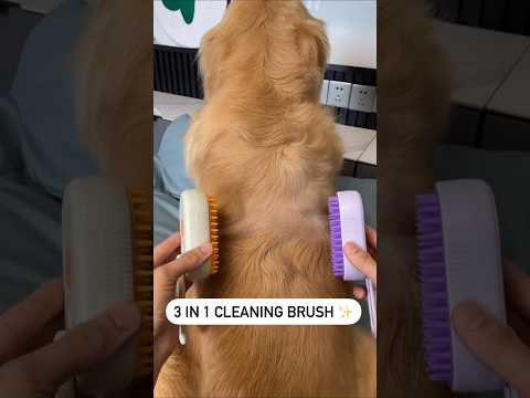 Cleaning day✨️🐶 #dogproducts #petproducts #dogowners #catowners #petowners.