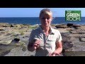 Intertidal Zone Ecosystem Concepts