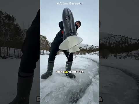 Su Truco Contra Los Osos Polares Sorprendió A Todos 🐻❄️#shortvideo al#viralvide