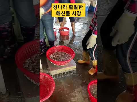청나라의 활발한 해산물 시장의 손놀림 #해산물 #저울 #속임수 #중국 #청나라