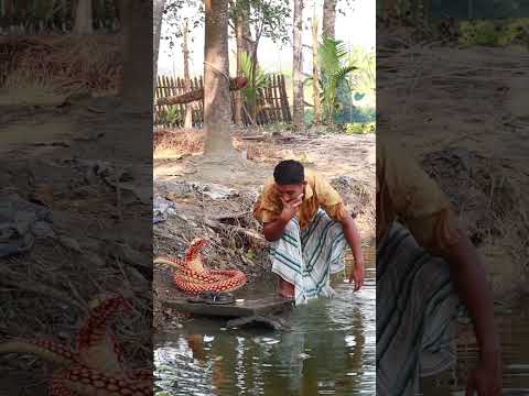 KING COBRA SNAKE PRANK ON PUBLIC Part 53 !  EMTIAZ BHUYAN#Shorts
